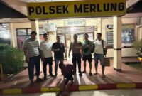 Personil Polsek Merlung amankan Dodi Pelaku pengeroyokan (Polsek Merlung)