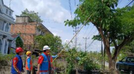 Petugas PLN ULP Kuala Tungkal Saat Melakukan Pemeliharaan Jaringan (Dok LT)