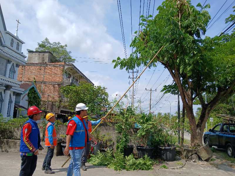 Petugas PLN ULP Kuala Tungkal Saat Melakukan Pemeliharaan Jaringan (Dok LT)