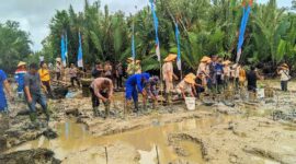 Kegiatan Penanaman Bibit Mangrove (Danposal)