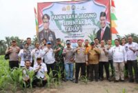 Kegiatan panen raya jagung serentak Tahap Satu di Kecamatan Tebing Tinggi (Humas)