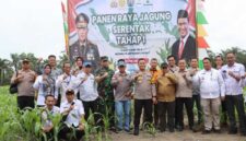 Kegiatan panen raya jagung serentak Tahap Satu di Kecamatan Tebing Tinggi (Humas)