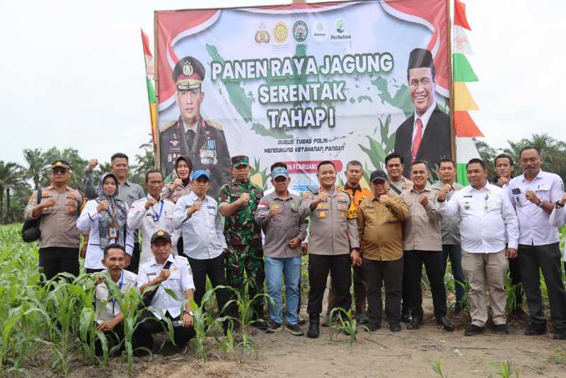 Kegiatan panen raya jagung serentak Tahap Satu di Kecamatan Tebing Tinggi (Humas)