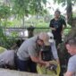 Bupati Tanjab Barat Bersihkan Sampah Penyumbat Saluran Air (Prokopim)