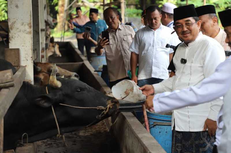 Bupati Anwar Sadat Kujungi Peternakan Sapi di Desa Purwodadi (Pro)
