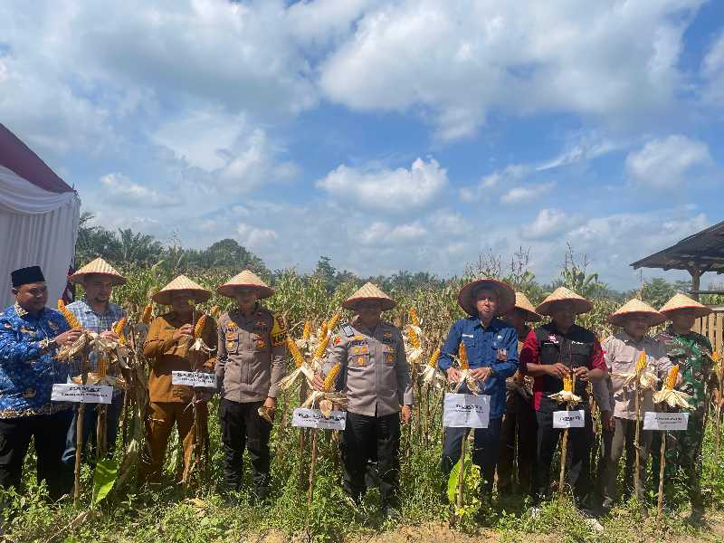 Kapolres Tanjab Barat AKBP Agung Basuki bersama Instansi dan OPD terkait saat Panen Raya Jagung (Humas)