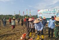 Kapolres Tanjab Barat AKBP Agung Basuki bersama Bupati Anwar Sadat Garap Lahan Penanaman Raya Jagung (Hms)