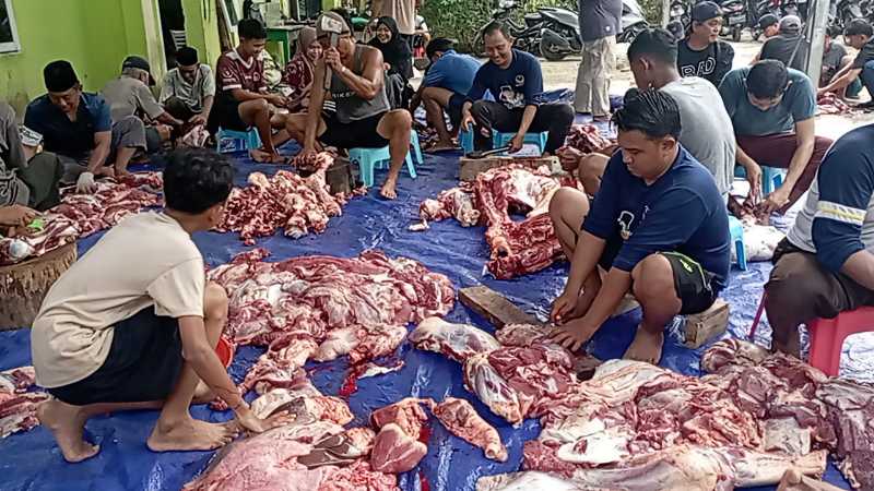 Kegiatan Warga LDII di Hari Raya Idul Adha (Ist)