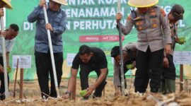 Usai Zoom Meeting, AKBP Agung Basuki, Wabup Katamso dan Forkopimda Tanam Jagung Kuartal III (Humas)