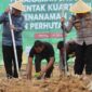 Usai Zoom Meeting, AKBP Agung Basuki, Wabup Katamso dan Forkopimda Tanam Jagung Kuartal III (Humas)