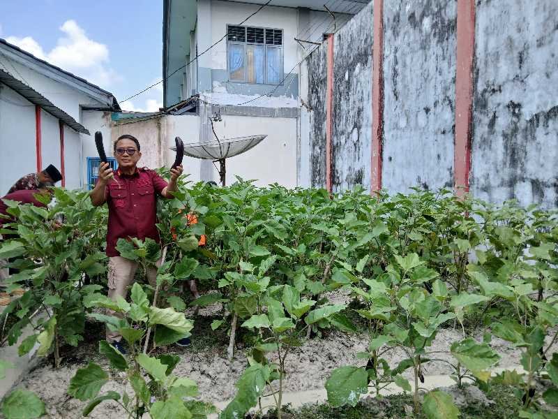 Kalapas Kelas IIB Kuala Tungkal Panen Terong Hasil Pemanfaatan Lahan Bagian Dari SAE (Ist)