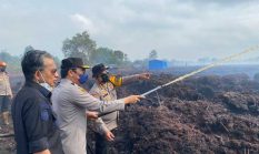 Irjen Pol Krisno Turun Langsung dan Ikut Padamkan Karhutla di Sungai Gelam