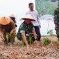Dandim 0419/Tanjab Letkol Arm Dwi Sutaryo Bersama Wakil Bupati Tanjab Barat Katamso dan Jajaran Saat Mengikuti Gerakan Serempak Percepatan Tanam Menuju Swasembada Pangan Provinsi Jambi (Pentjb)