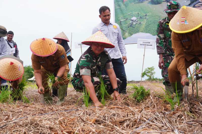 Dandim 0419/Tanjab Letkol Arm Dwi Sutaryo Bersama Wakil Bupati Tanjab Barat Katamso dan Jajaran Saat Mengikuti Gerakan Serempak Percepatan Tanam Menuju Swasembada Pangan Provinsi Jambi (Pentjb)