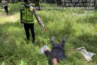 Anggota Kepolisian Sektor Merlung Saat Melakukan Identifikasi (hms)