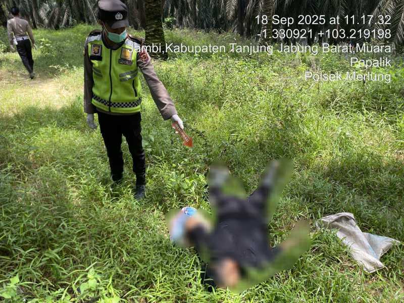 Anggota Kepolisian Sektor Merlung Saat Melakukan Identifikasi (hms)