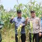 Wakil Bupati Tanjab Barat Katamso Panen Jagung Bersama Kapolres, Pjs Danramil 419-07/Merlung dan Kepala OPD (pro)