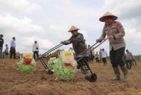 AKBP Agung Basuki Bersama Asisten II Setda Tanjab Barat Firdaus Khatab dan Pihak Terkait Saat Menanam Jagung (hms) 
