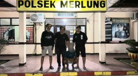 Terduga Pelaku Diamankan Unit Reskrim Polsek Merlung Polres Tanjab Barat (hms)