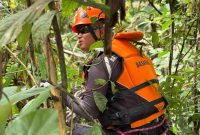 Tim SAR Saat Melakukan Operasi Pencarian Terhadap Korban (hms)