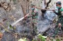 Tim Gabungan Bergerak Padamkan Karhutla di Kawasan PT Reki Batanghari