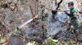 Tim Gabungan Bergerak Padamkan Karhutla di Kawasan PT Reki Batanghari