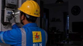 Petugas PLN Saat Melakukan Perbaikan (net)