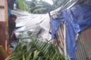 Kondisi Rumah Pasca Ditimpa Pohon Sawit 