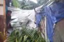 Kondisi Rumah Pasca Ditimpa Pohon Sawit 