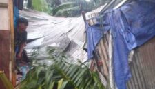 Kondisi Rumah Pasca Ditimpa Pohon Sawit 
