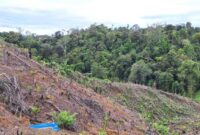 UU Pengaturan Reforma Agraria Buka Jalan Pemulihan Hak Masyarakat dalam Konflik Pertanahan