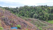 UU Pengaturan Reforma Agraria Buka Jalan Pemulihan Hak Masyarakat dalam Konflik Pertanahan