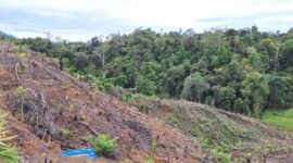 UU Pengaturan Reforma Agraria Buka Jalan Pemulihan Hak Masyarakat dalam Konflik Pertanahan