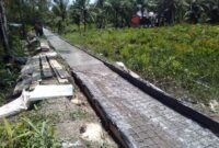 Kegiatan Peningkatan Akses Jalan di Dusun Bahagia, Desa Tungkal I Kabupaten Tanjung Jabung Barat Provinsi Jambi. FOTO : Bas/LT