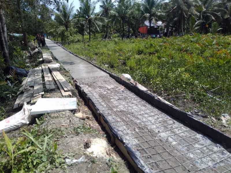 Kegiatan Peningkatan Akses Jalan di Dusun Bahagia, Desa Tungkal I Kabupaten Tanjung Jabung Barat Provinsi Jambi. FOTO : Bas/LT