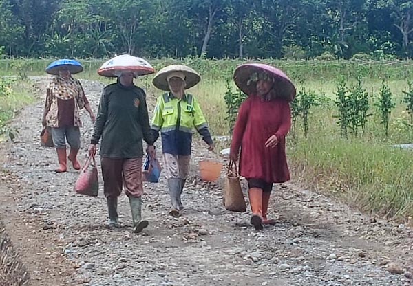 Tampak Warga Berjalan di Jalan yang diperbaiki TMMD di Kecamatan Labuan Amas Utara, Kabupaten Hulu Sungai Tengah (HST), Kalimantan Selatan. FOTO : Pendim1002
