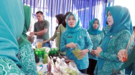 Ketua TP PKK Provinsi Jambi, Ny. Hj. Hasnidar didampingi Ketua TP-PKK Kab. Tanjab Barat Ny. Hj. Fadilah Sadat Saat Mengunjungi Stand, Sabtu (29/10/22) di Alun-alun Kota Kuala Tungkal. FOTO : Dokpim