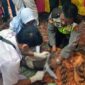 Tim Medis dari PKM Sungai Saren dan Anggota Polsek Tungkal Ilir Saat Memeriksa Korban di Rumah Duka. FOTO : Polsek Ilir
