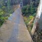 Kondisi Saat Ini Jembatan Gantung di Rantau Benar Putus, Belasan Siswa Jatuh ke Sungai. FOTO : Ist