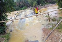 Jembatan Penghubung Desa dengan Perusahaan PT Kausar di Kecamatan Kedungadem, Kabupaten Tanjab Barat yang Hanyut Terbawa Arus, Kamis (18/11/21). FOTO : KHUSUS.