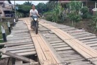 Ini Wujud Jembatan Kayu Dusun Tuo Pematang Jering yang Butuh Perhatian. FOTO : Ary/LT