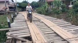 Ini Wujud Jembatan Kayu Dusun Tuo Pematang Jering yang Butuh Perhatian. FOTO : Ary/LT