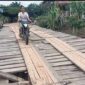 Ini Wujud Jembatan Kayu Dusun Tuo Pematang Jering yang Butuh Perhatian. FOTO : Ary/LT