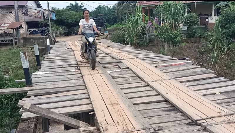 Ini Wujud Jembatan Kayu Dusun Tuo Pematang Jering yang Butuh Perhatian. FOTO : Ary/LT
