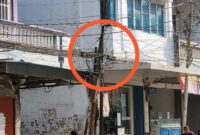Penampakan Kabal PLN dan Telkom di Salah Satu Tiang di Jalan Asia Kuala Tungkal, FOTO : LT