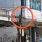 Penampakan Kabal PLN dan Telkom di Salah Satu Tiang di Jalan Asia Kuala Tungkal, FOTO : LT