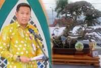 Hermansyah S. STP Ketua Pelaksana Kegiatan Pameran Nasional dan Kontes Bonsai Tahun 2023 di Tanjung Jabung Barat. FOTO : Dok/Asri/Prokopim