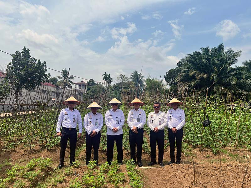 Kakanwil Ditjenpas Jambi Pastikan Program Ketahanan Pangan dan Monitor Kebun Sayur Lapas Kelas IIB Muara Tebo. FOTO : HMS