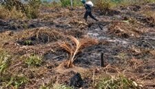 Kebakaran yang diduga dipicu oleh aktivitas penyetekingan lahan ini telah menghanguskan sedikitnya 150 hektare kebun warga, dan hingga kini proses pemadaman mandiri masih terkendala oleh minimnya peralatan pompa serta pasokan air di lokasi, Minggu (13 September 2026). FOTO : BPBD MUSI