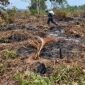 Kebakaran yang diduga dipicu oleh aktivitas penyetekingan lahan ini telah menghanguskan sedikitnya 150 hektare kebun warga, dan hingga kini proses pemadaman mandiri masih terkendala oleh minimnya peralatan pompa serta pasokan air di lokasi, Minggu (13 September 2026). FOTO : BPBD MUSI